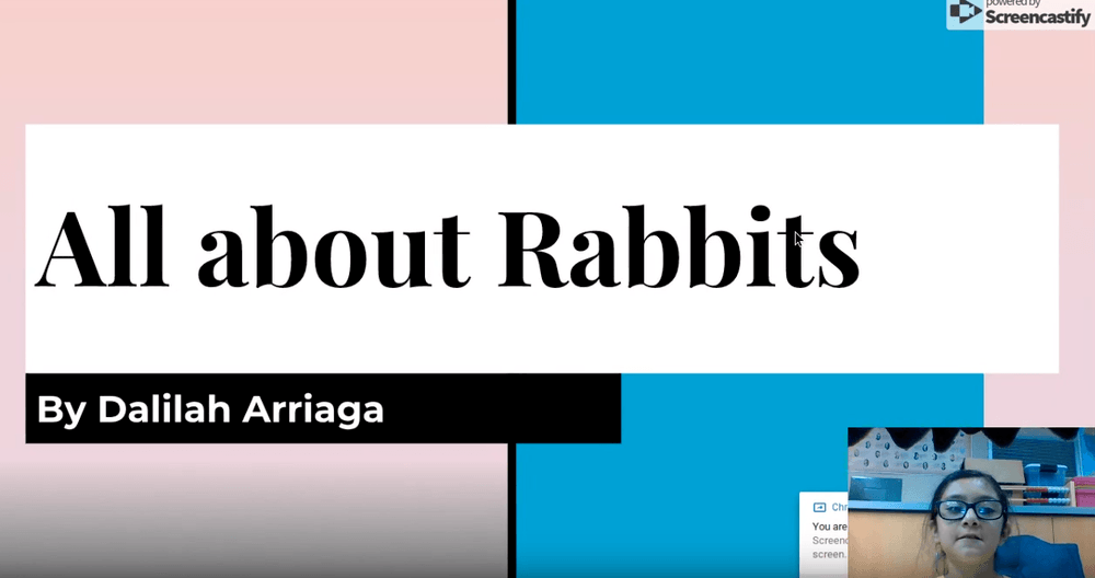 All About Rabbits