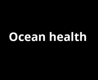 Ocean Health video