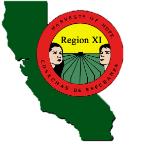 region xi